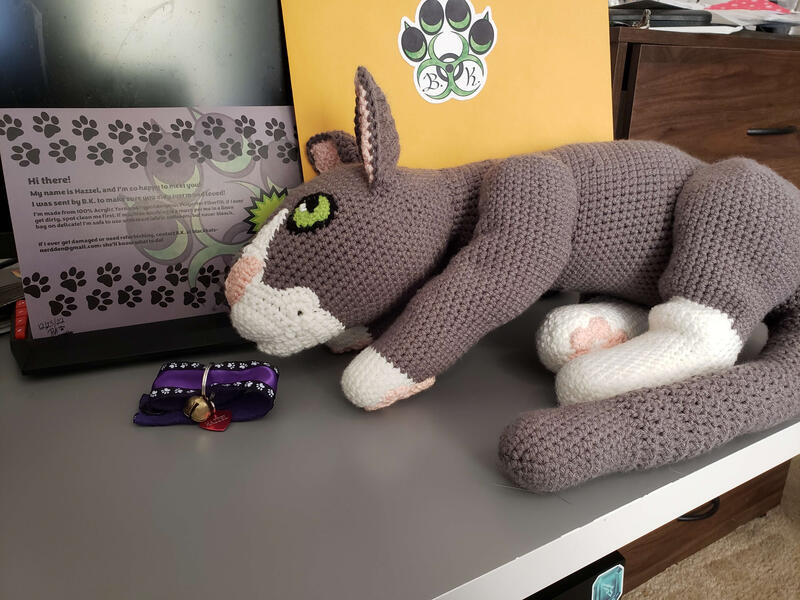 Hazzel- House Cat- Memorial Comission