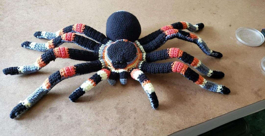 Milo- Mexican Red Knee Tarantula- Memorial Commission